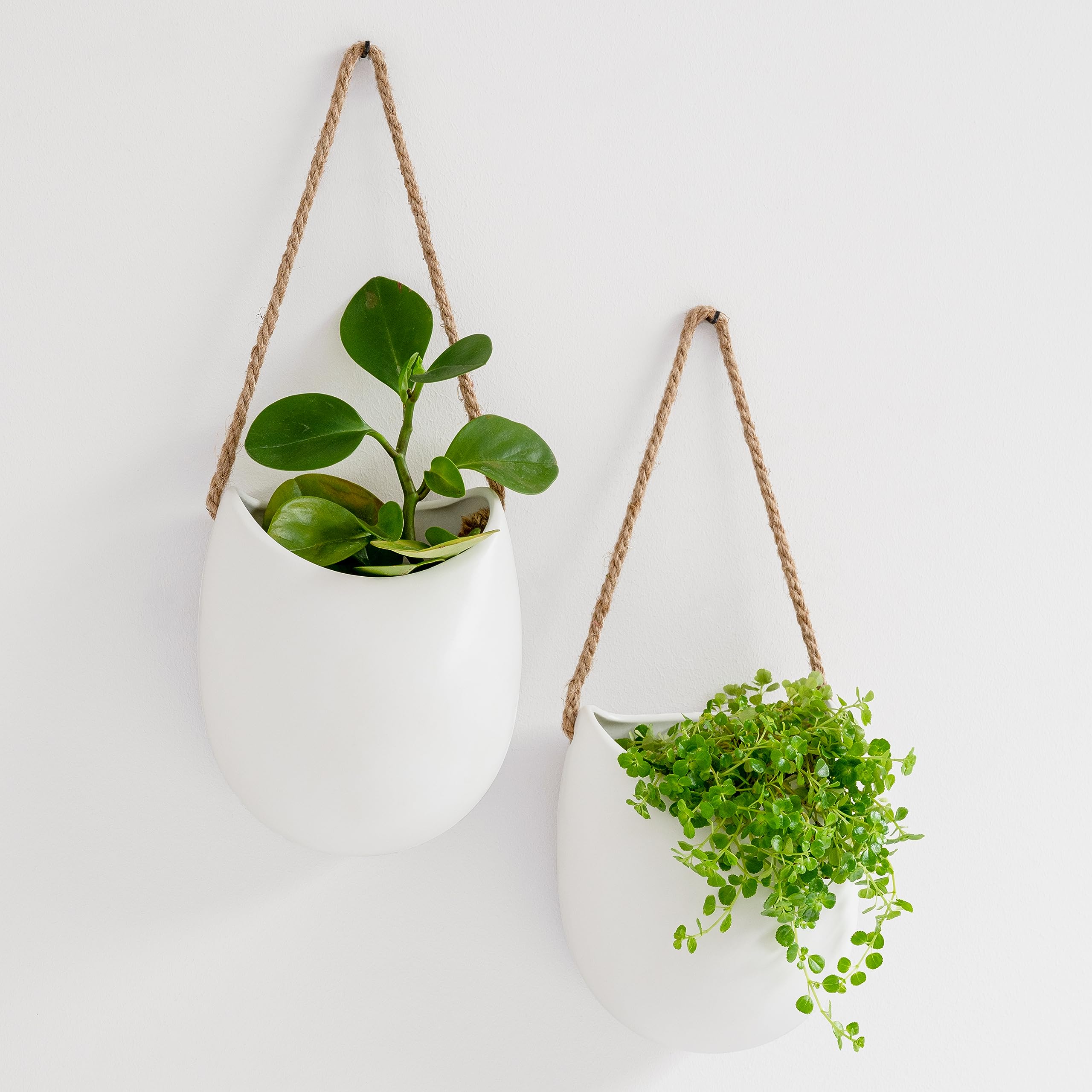 Kazai.® | Porcelain Wall Vases | 3 Piece Set | Including Wooden Hooks | Matte White
